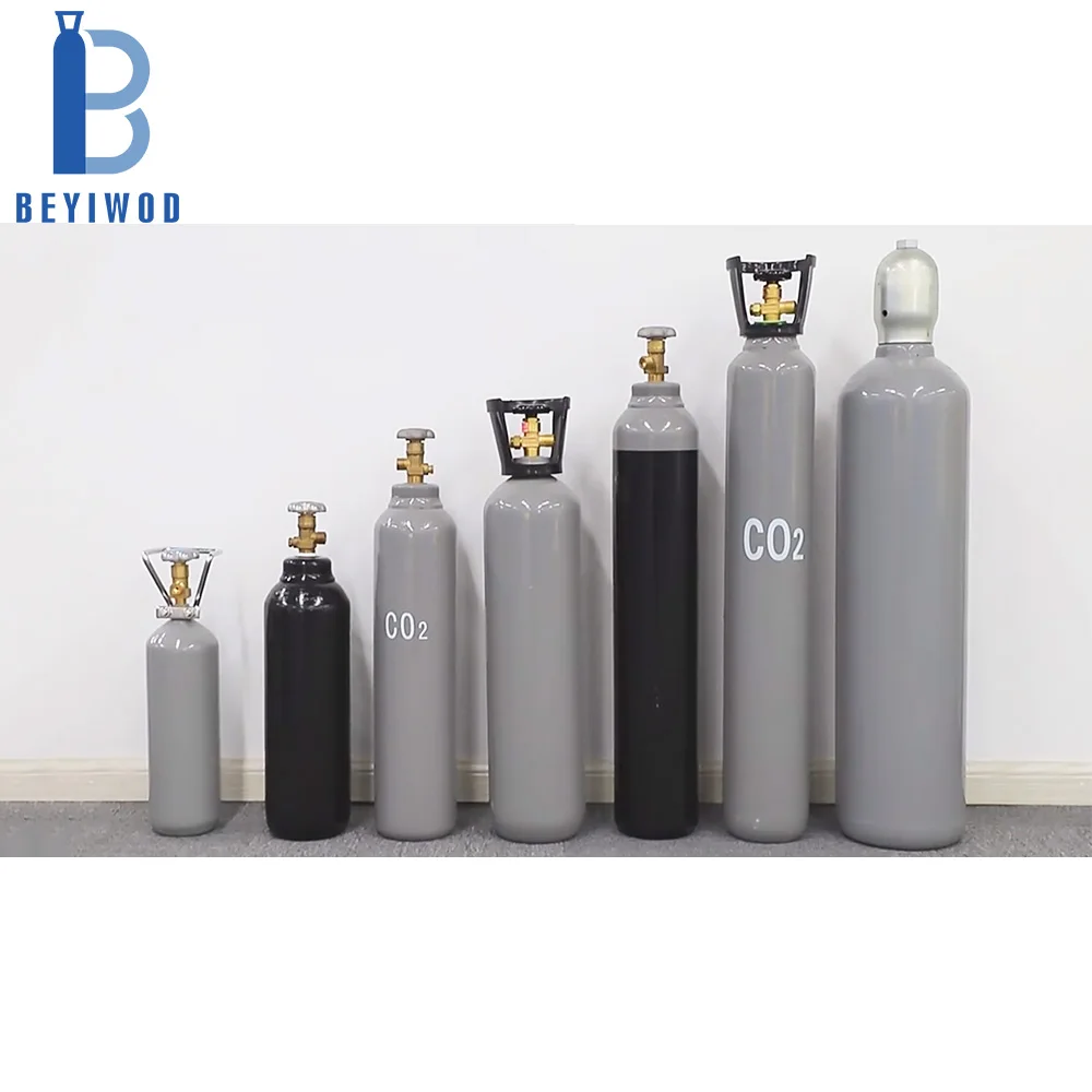 BEYIWOD 2L 3L 4L 5L 10L 20L 30L 40L 50L Capacity CO2 Cylinder CO2 Beer Cylinder Gas Cylinder