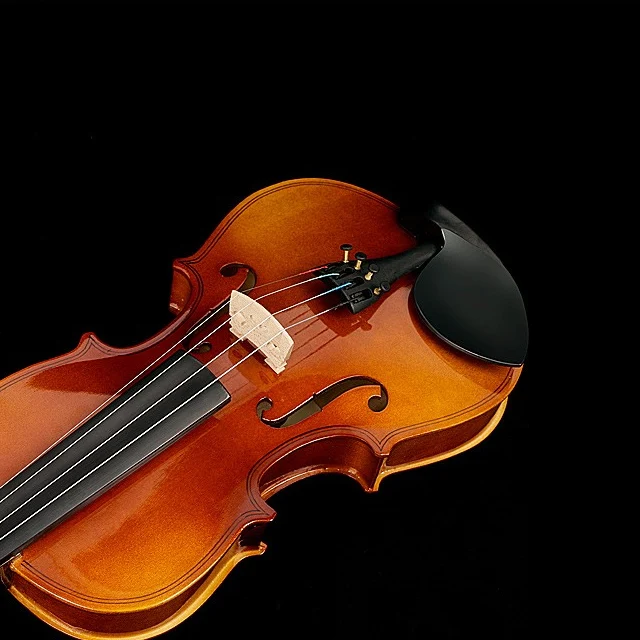 Bullfighter Full Size Violin Handmade for Beginner