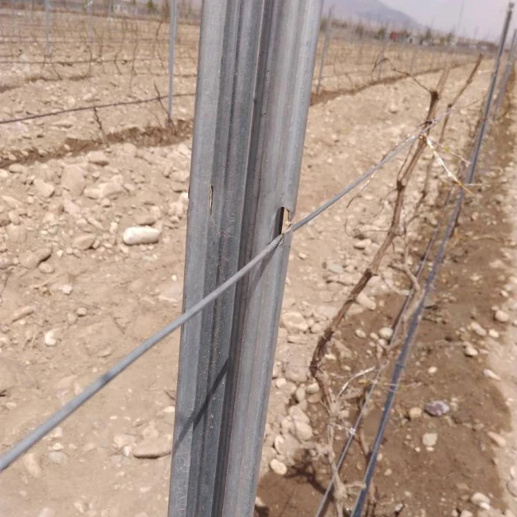 high strangth metal vineyard post/grape stake/vineyard trellis post