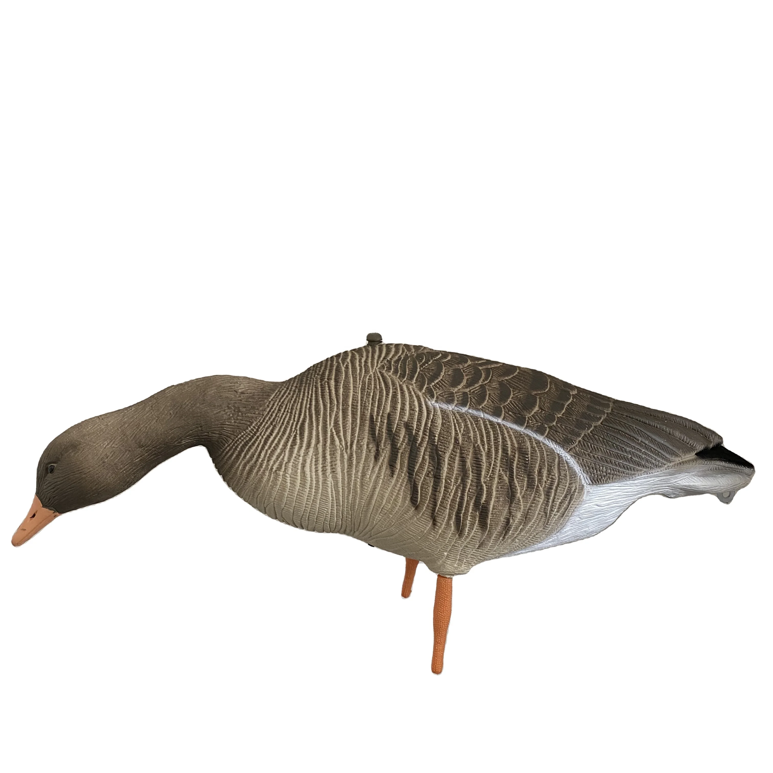 Collapsible EVA plastic Greylag goose used for wild hunting