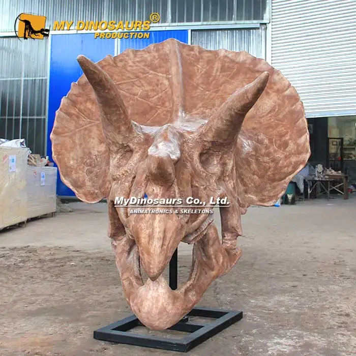 Z My Dino DS-055 оптовая продажа реалистичные скелет динозавра Трицератопс