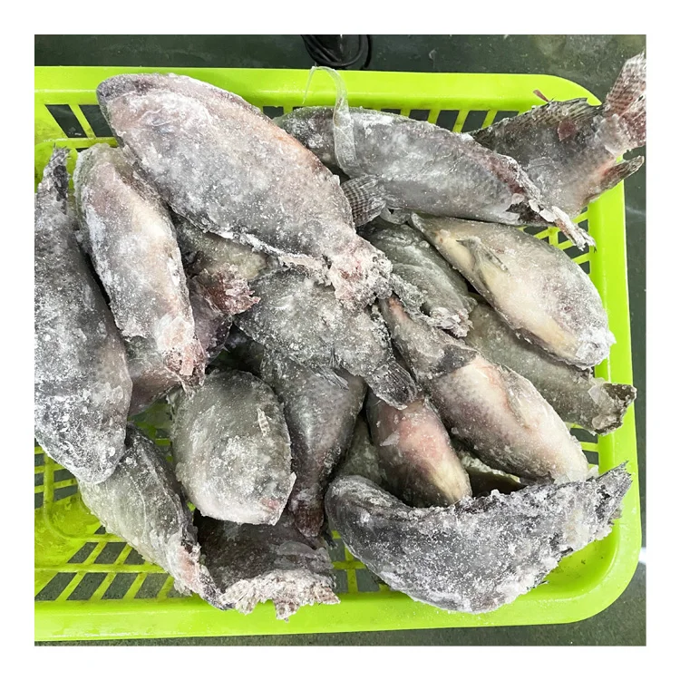 Competitive Price Seafood Supplier Frozen Fresh Fish Tlapia 300-500G Whole Clean Kosher WR Black Tilapia Exporters