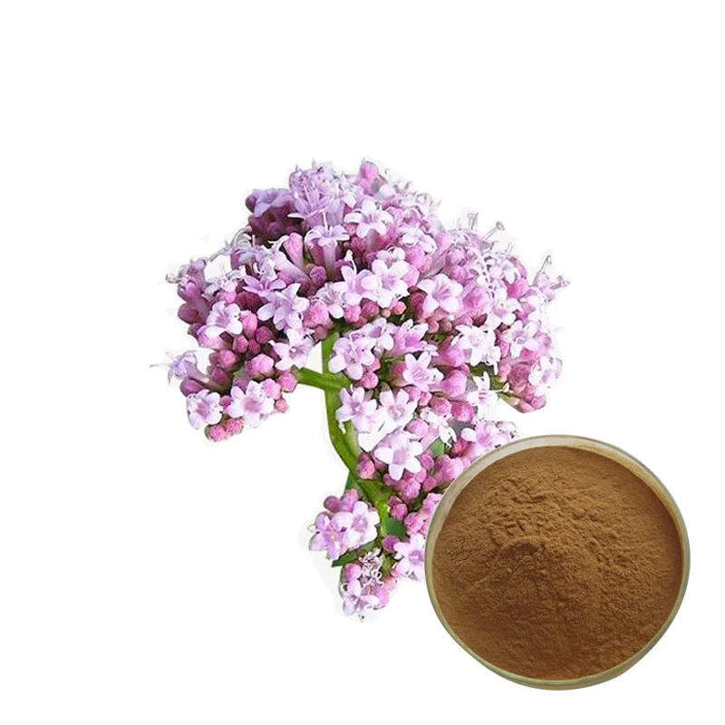 
Free sample best price valerian extract 
