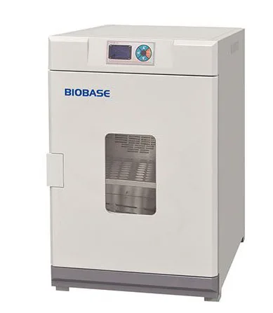 Biobase China best selling Vertical Type Forced Air Drying Oven With Large Scale Capacity