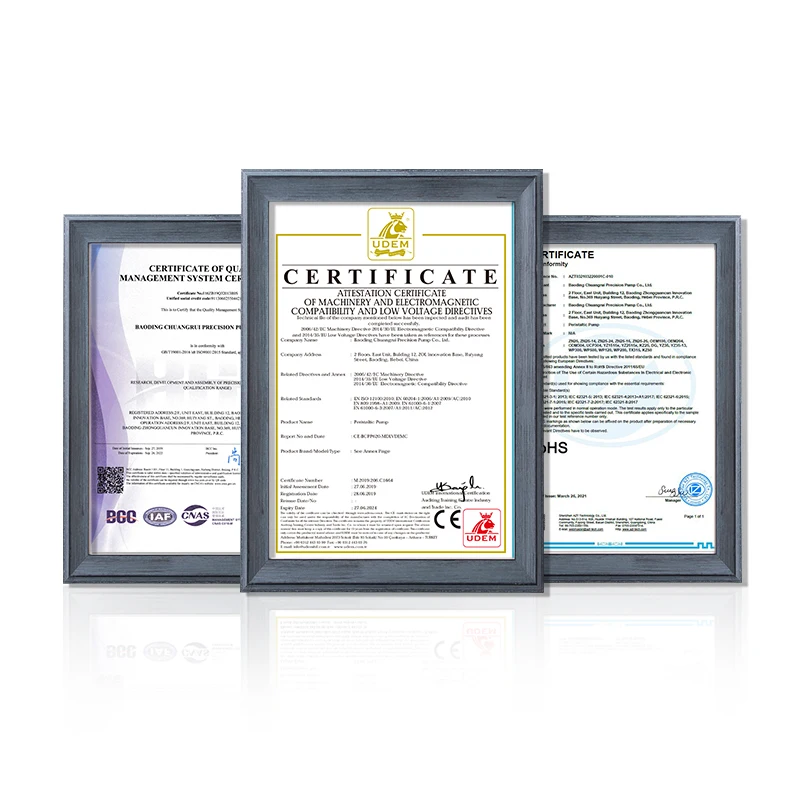 OEM206/WP300 Wholesale Price Peripump 12v Peristaltic Pump Laundry Detergent Dosing Pump