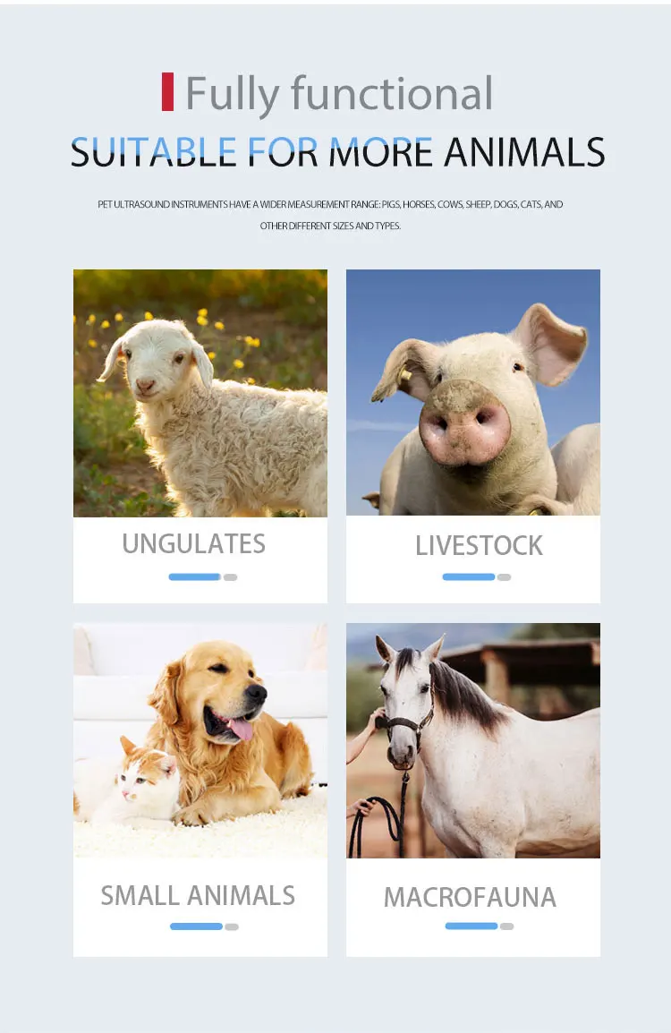 Veterinary Machine Vet Ultrasound Handheld Ultrasound Used for Animal Pregnancy Scan