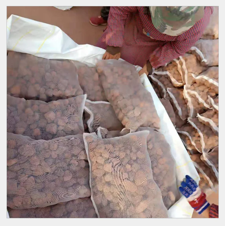 Внутренний двор расположен с большим количеством дешевой лавы пемзы/вулканической породы Красной вулканической породы, произведенной в Китае