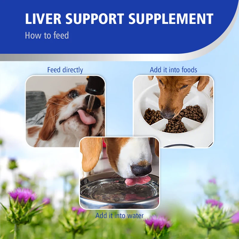 OEM&ODM Dog Liver Supplement Rich in Milk Thistle Extract, BioPerine, Turmeric Curcumin