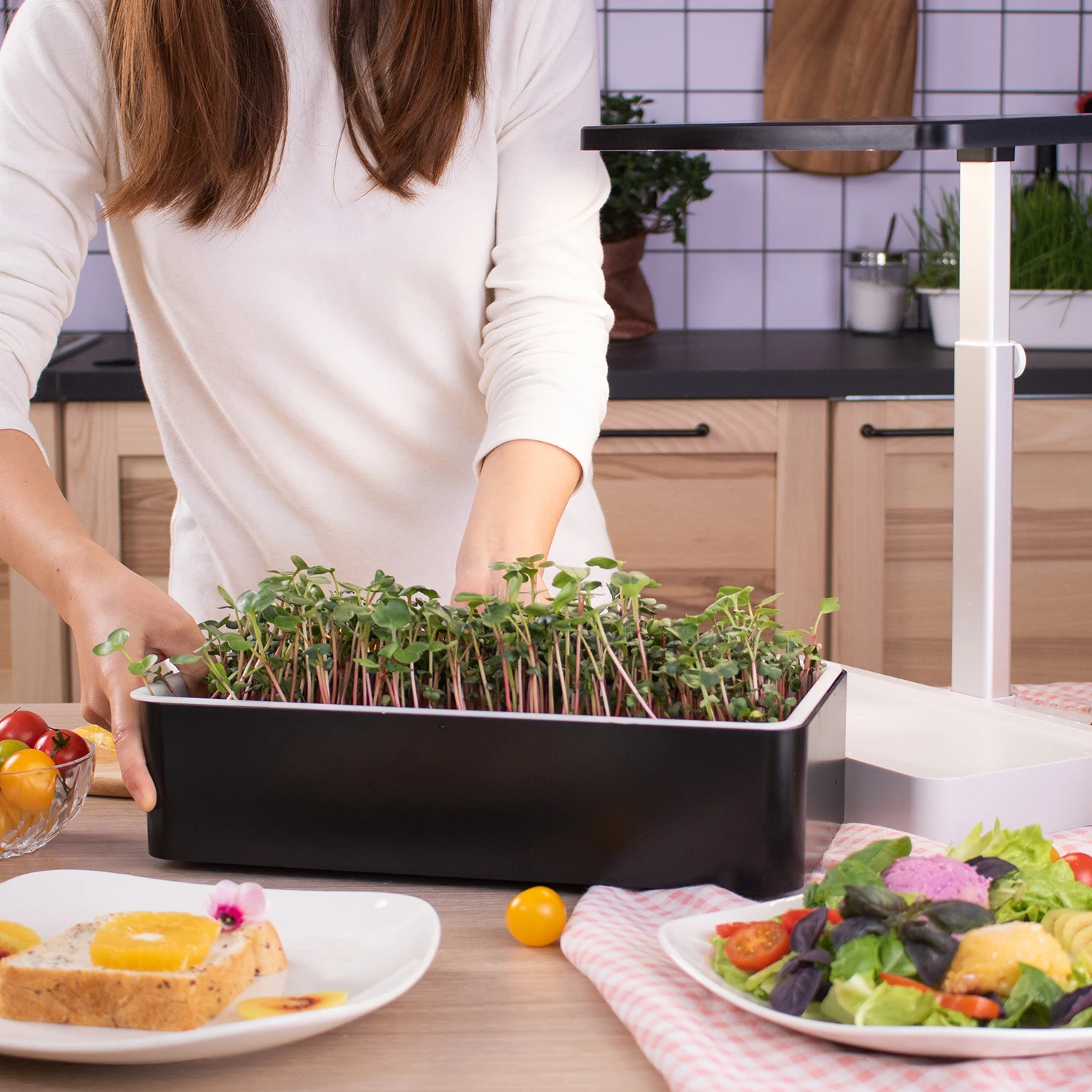 hydroponic self water garden starter set easy harvest Automate Self Watering micro green grow kits