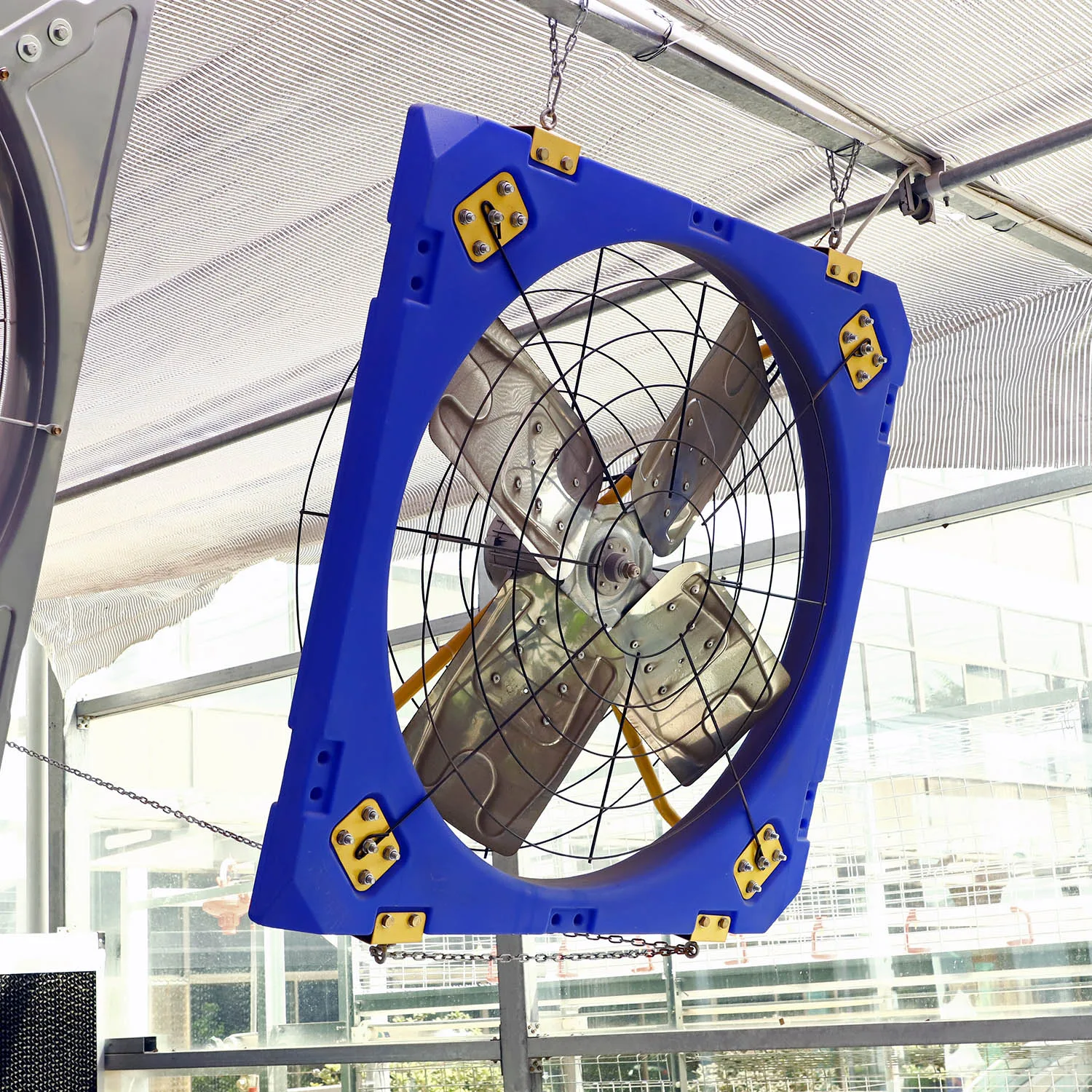 hanging dairy  cow farm cow shed exhaust fan