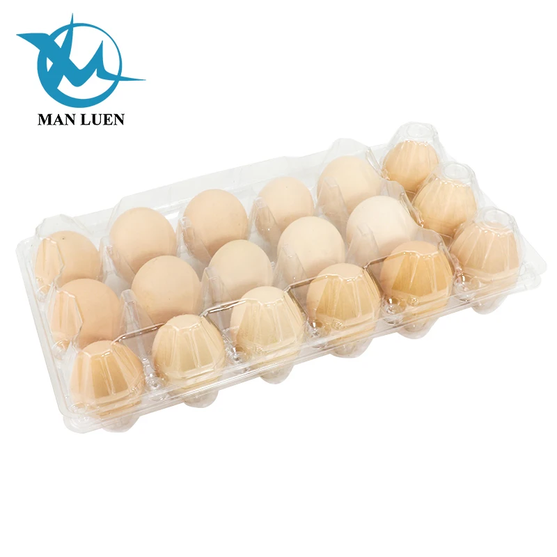 custom  various size disposable  plastic egg crate tray egg box quail egg tray