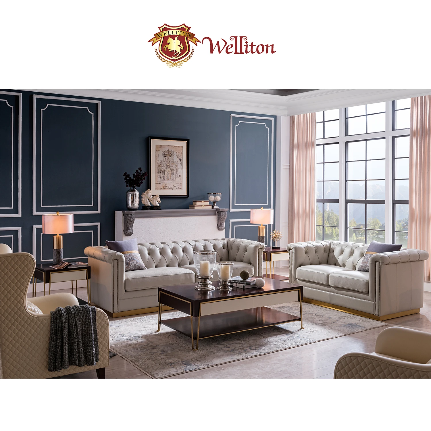  Welliton OEM & ODM X801-33 кожаный диван наборы для жилой комнаты современный стиль небольшой Aparment роскошных диванов дизайн