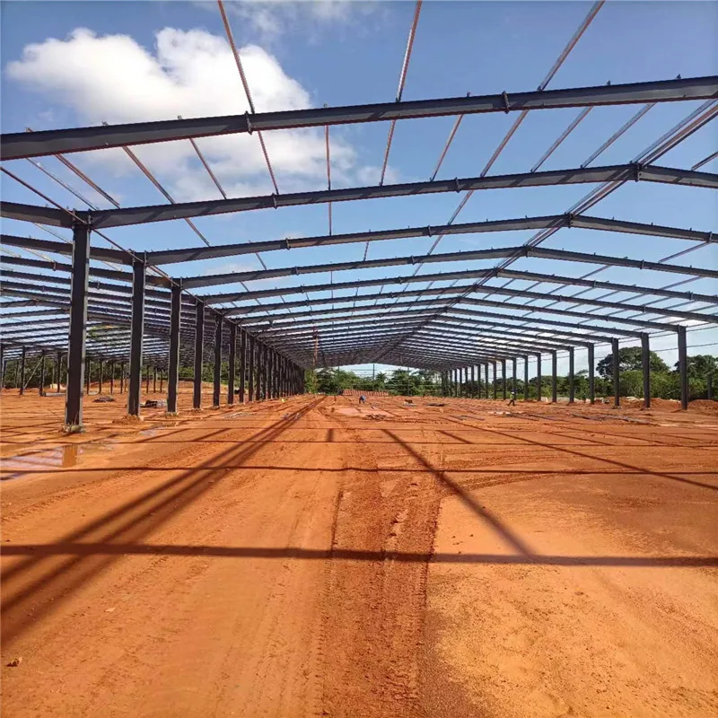 Modern and Economic Design Prefab Steel Structure Building Prefab Warehouse Workshop Aircraft Hangar Construction Material