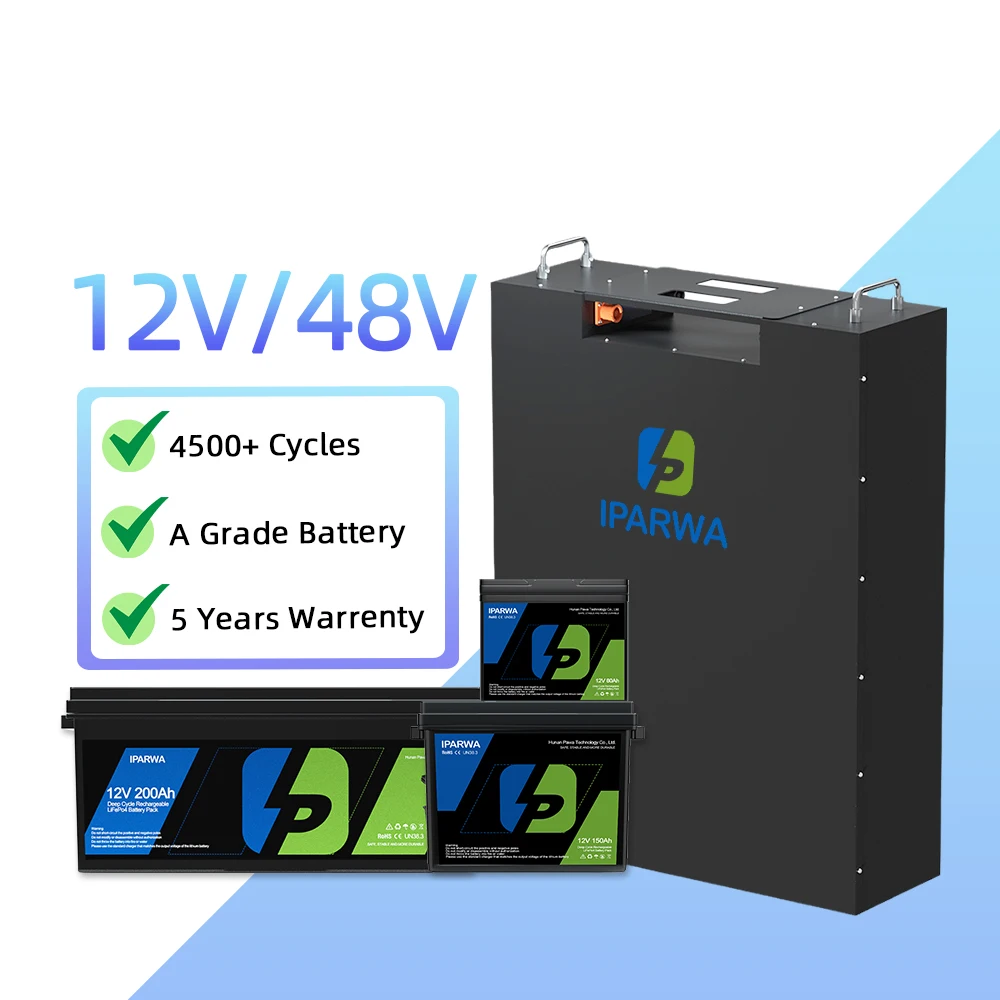 IPARWA Customized 48v 120ah Lithium Ion 48v 100ah Lifepo4 Battery Pack Built-in Bms Lifepo4 48 Volt Golf Cart Battery