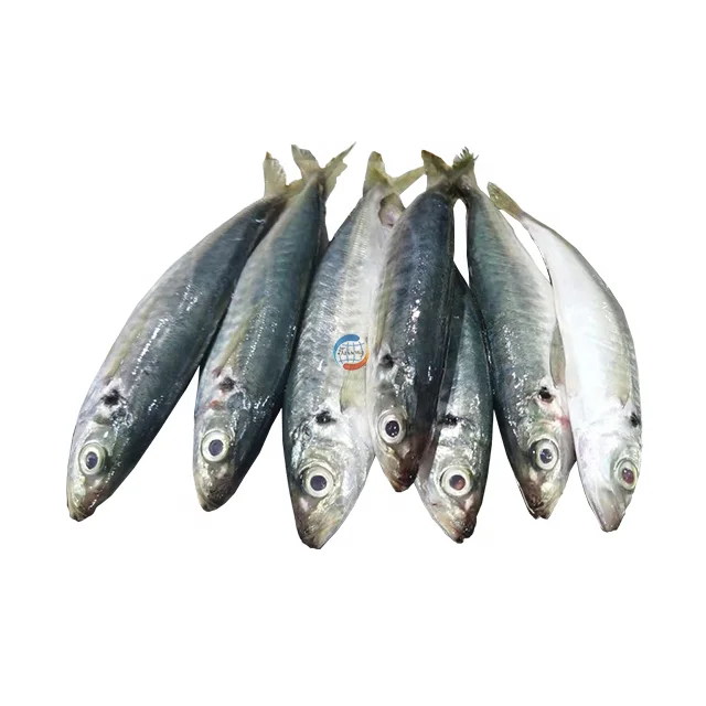 round scad (1)
