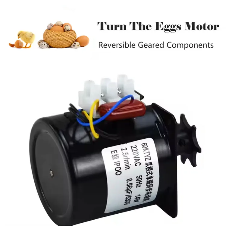 Stock Available 60Ktzy Permanent Magnet Synchronous Motor 220V 50HZ High Productivity Quality Materials