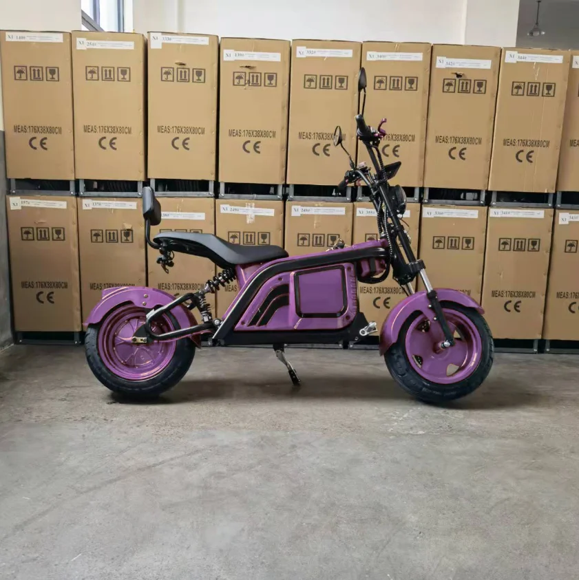 New Special Design For Adult High Power Classic Retro 60v 3000w Electric Motorbike