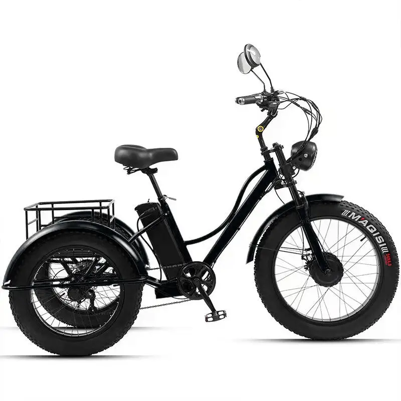 800W 1000W electric tricycles 3 wheel electric cargo bike household small scooter three-seat adjustable electric tricycles
