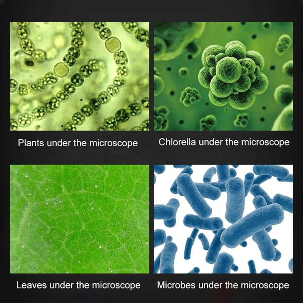 Children Microscope Kit Lab Led 100/400/1200x Kids Zoom Microscope Biology For School Home Science Educational Toys Child Gifts