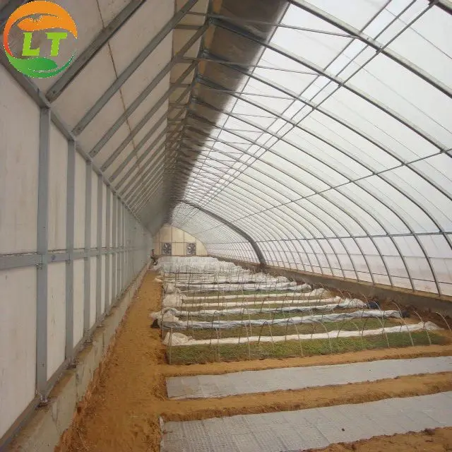 Winter cold weather greenhouse solar greenhouse