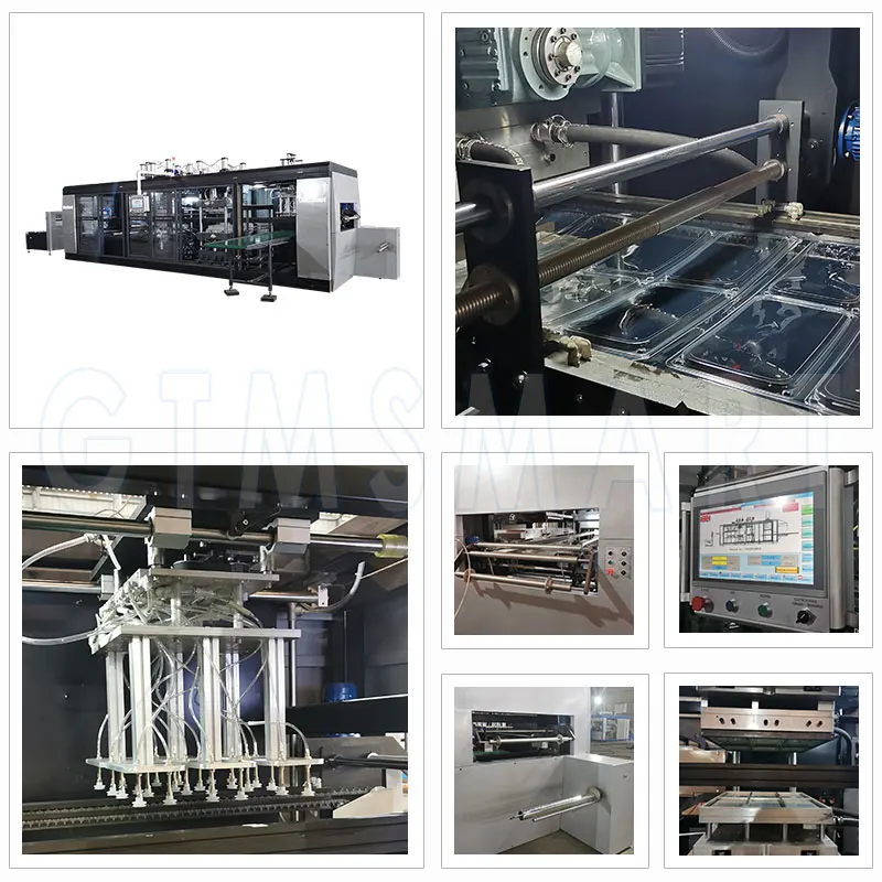 Thermoforming Machine Price Thermoforming Machine Manufacturers