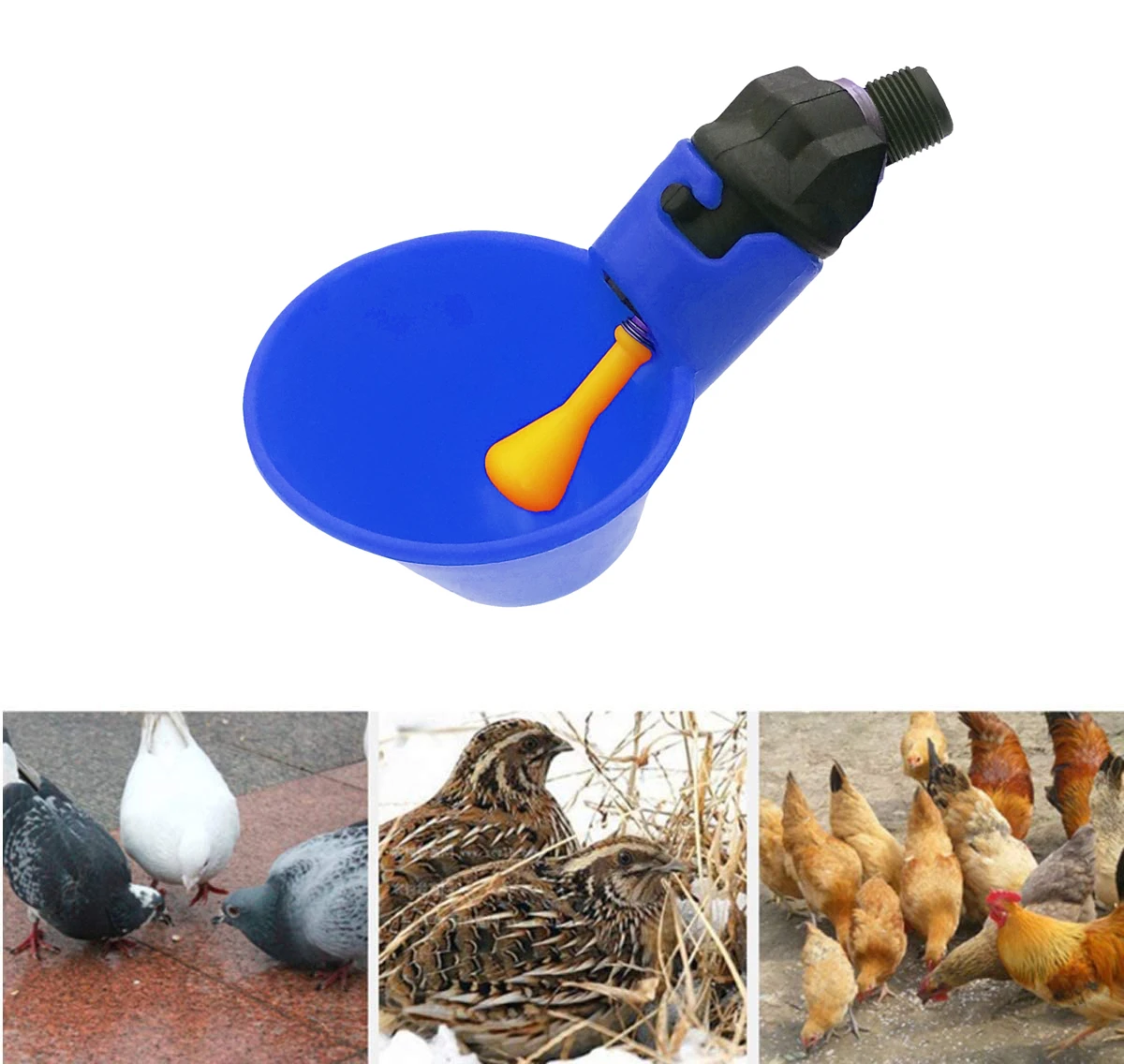 Automatic Chicken Drink Water Cup Blue Quail Hanging Nipple Drinking Bowl Feed Bird Coop Drinker Cups for Backyard Poultry