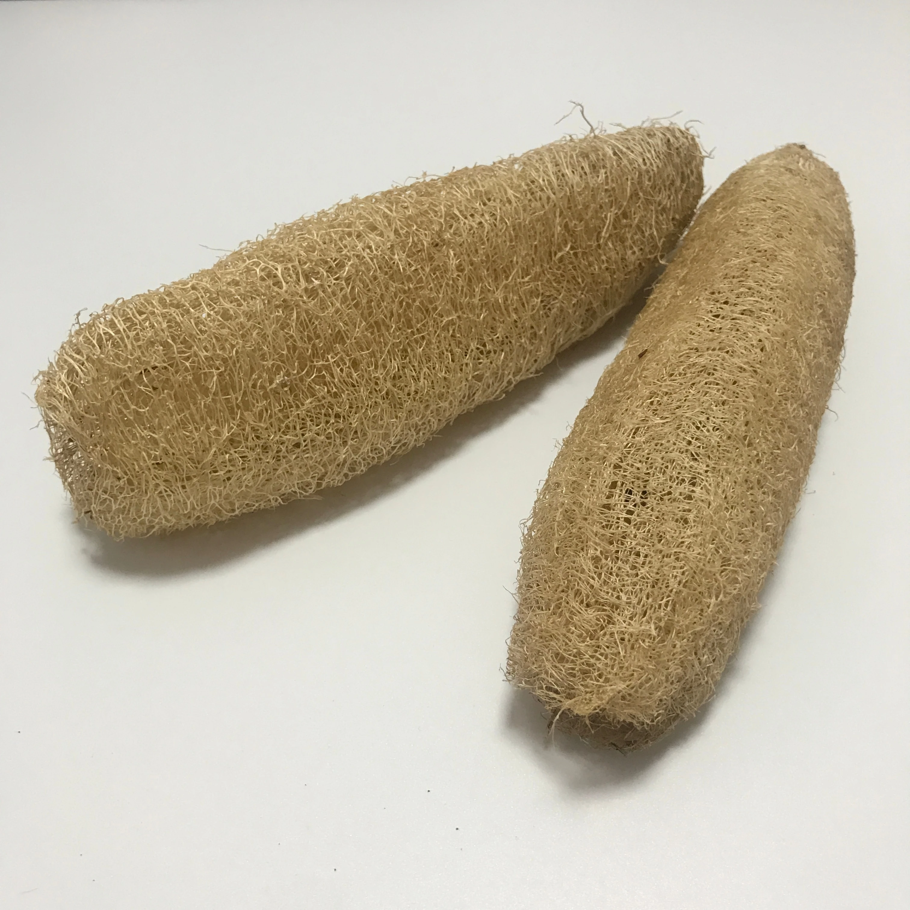 
CK005 Si gua luo Natural 20~25cm The whole loofah 