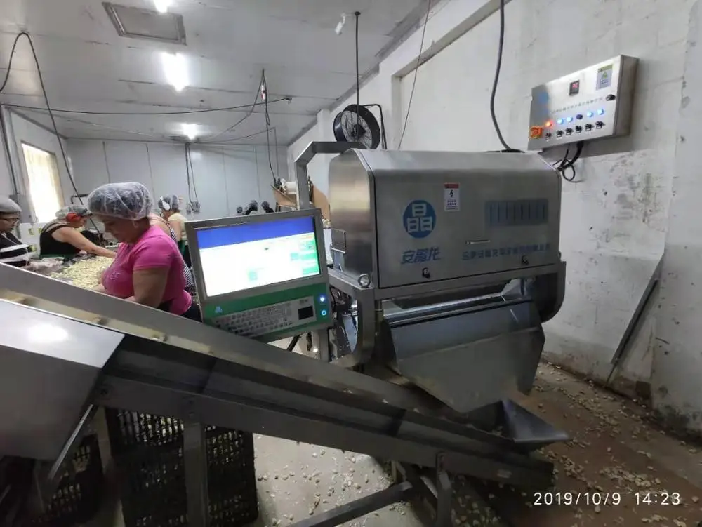 Сортировочная машина для чеснока, сортировочная машина для свежего чеснока, сортировочная машина для очищенного чеснока