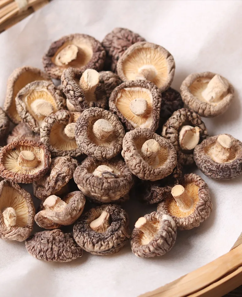 Xtong food Export Dehydrated Shiitake Mushrooms Wholesale Bulk Brown Button Mushrooms