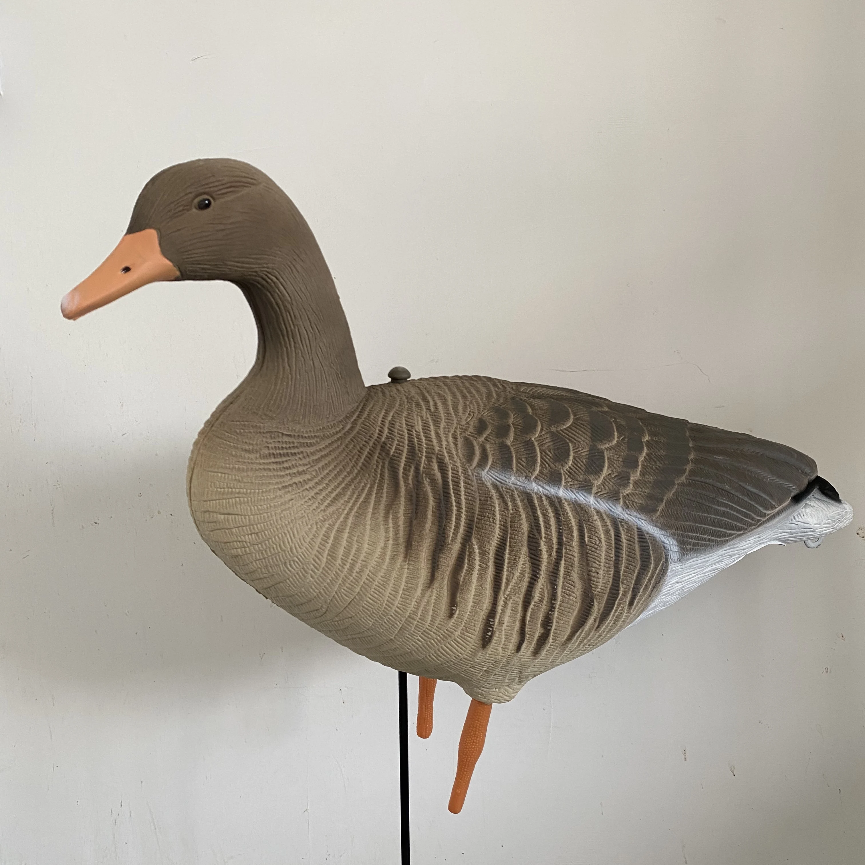 
New arrival and new painting greylag goose decoy 