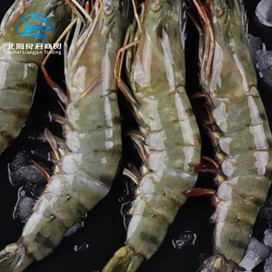 Direct Factory High Quality Wholesale importers White Shrimp/Fresh black tiger shrimps