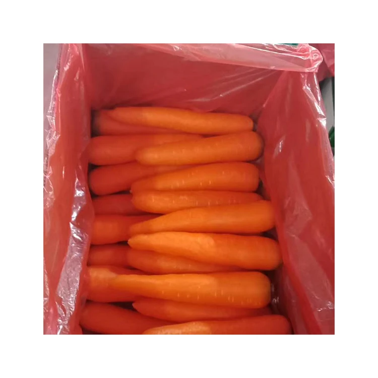 Wholesale price smooth skin fresh red carrot top quality fresh carrot seller china fresh vegetable exporter
