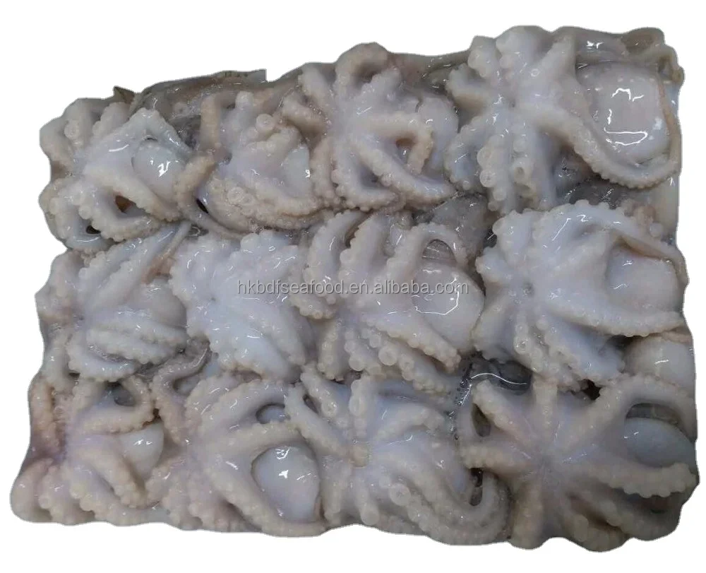 China Manufacturer Eye Off Frozen Baby Octopus Octopoda