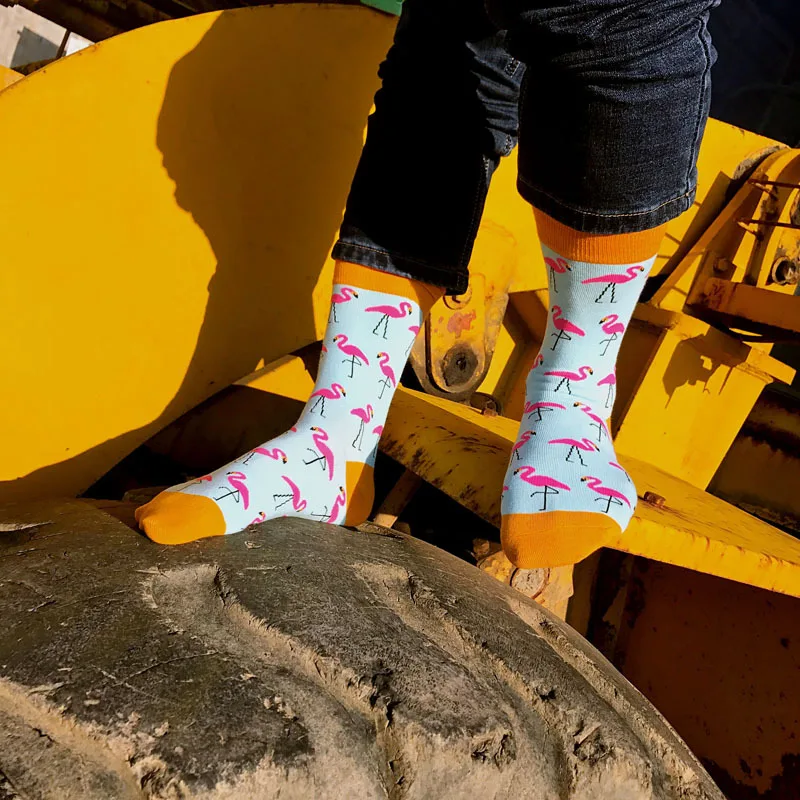 Custom fashion design Flamingo cactus pattern cotton crew socks men happy socks