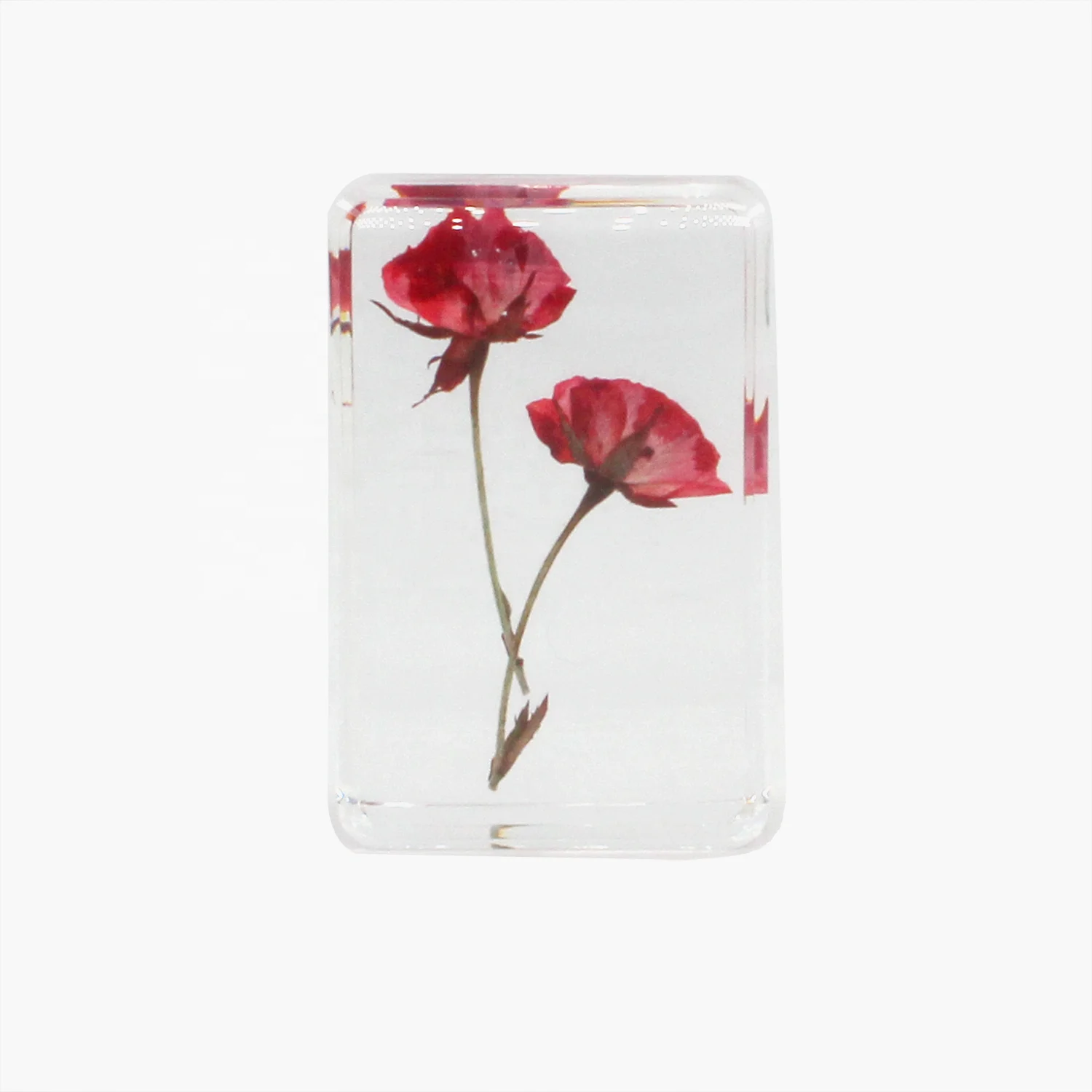 Nature botanical specimen epoxy resin flower paperweight lucite unique decor crystal craft