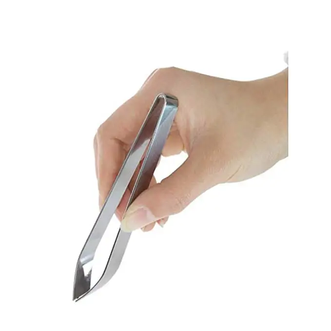 Stainless Steel Fishbone Clip Plain Top Bevel-End Steel Plucking Clip Kitchen Salmon Thorn Clip Pig Hair Tweezer