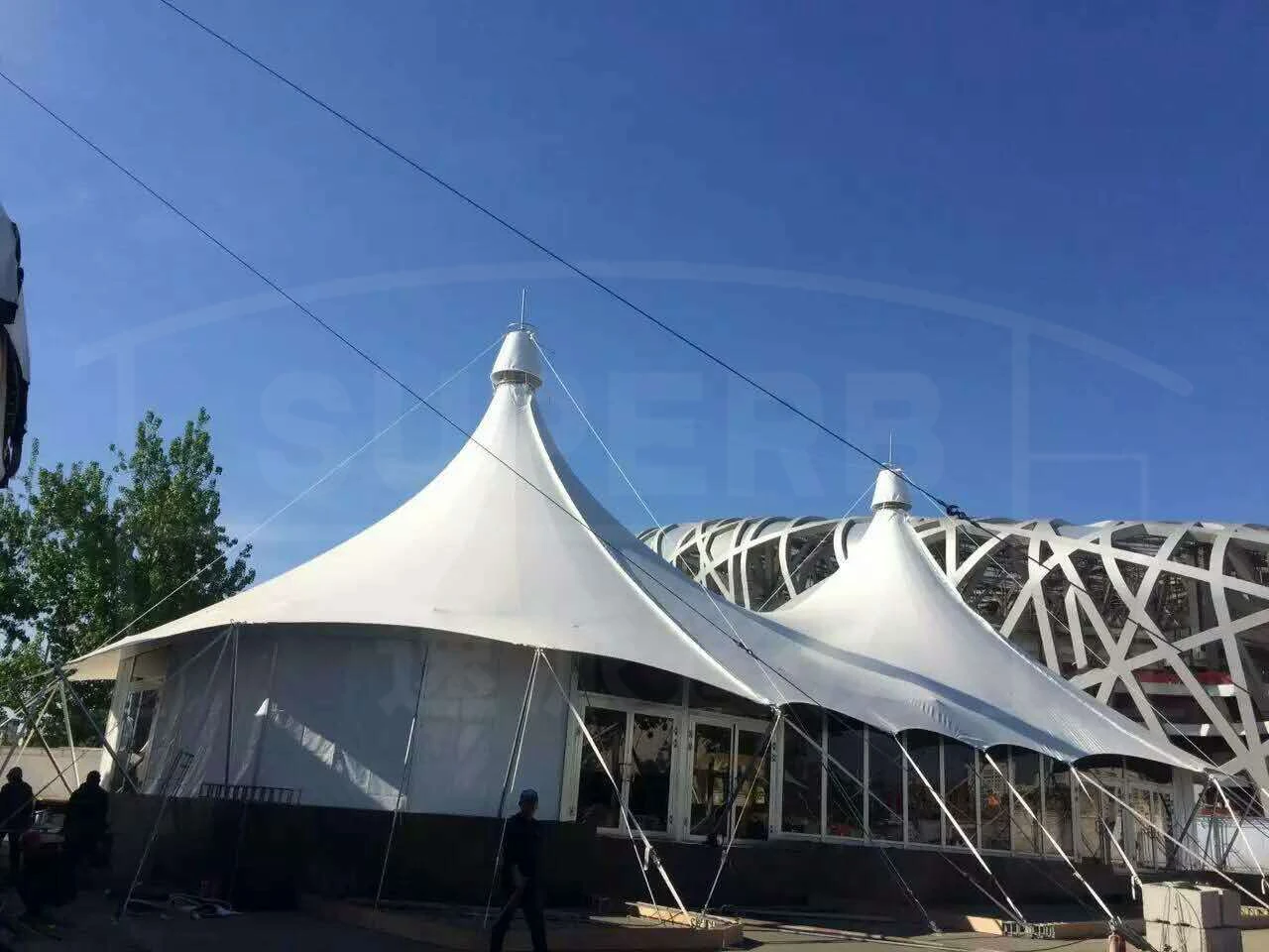 Популярная палатка для вечеринок цирковая хребта