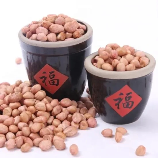 
Wholesale Fresh High Protein Red Skin Raw Peanuts Kernel with Factory Price 