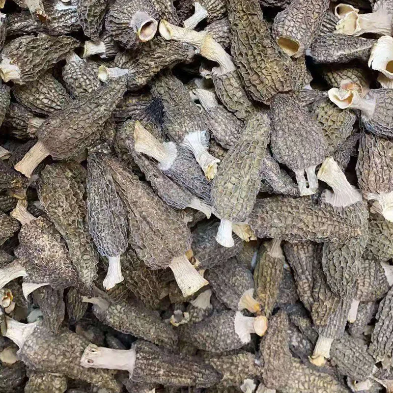
In Bulk Supplying Great Hongos Texture Package Precio Price Wild Black Dried De Fresh Morchella Mushroom 