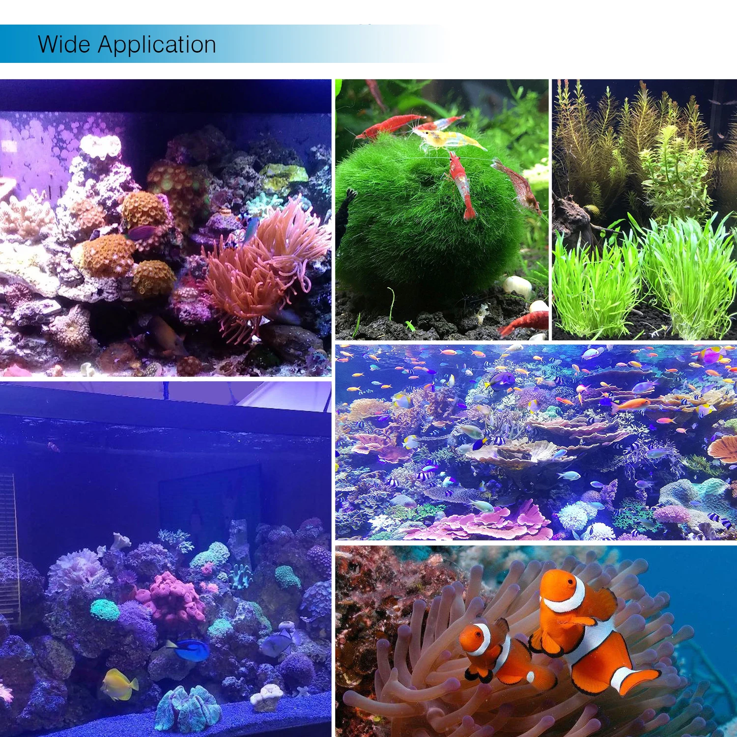 2022 Unique Design BT APP Aquarium LED Lamp Aqua Lighting for Reef Fish Tank