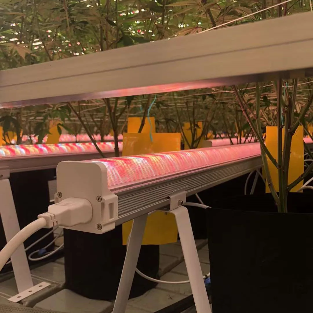 100W Plant Growth Lamp with Optimal Spectrum for Home Garden Vegetable Greenhouses Enhancing Vegetable Growth Flower Blooming