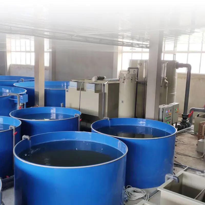Automatic Indoor Farming Tilapia Equipment Aquaculture System/smart Ras System for Hatchery Eggs Incubator Jars