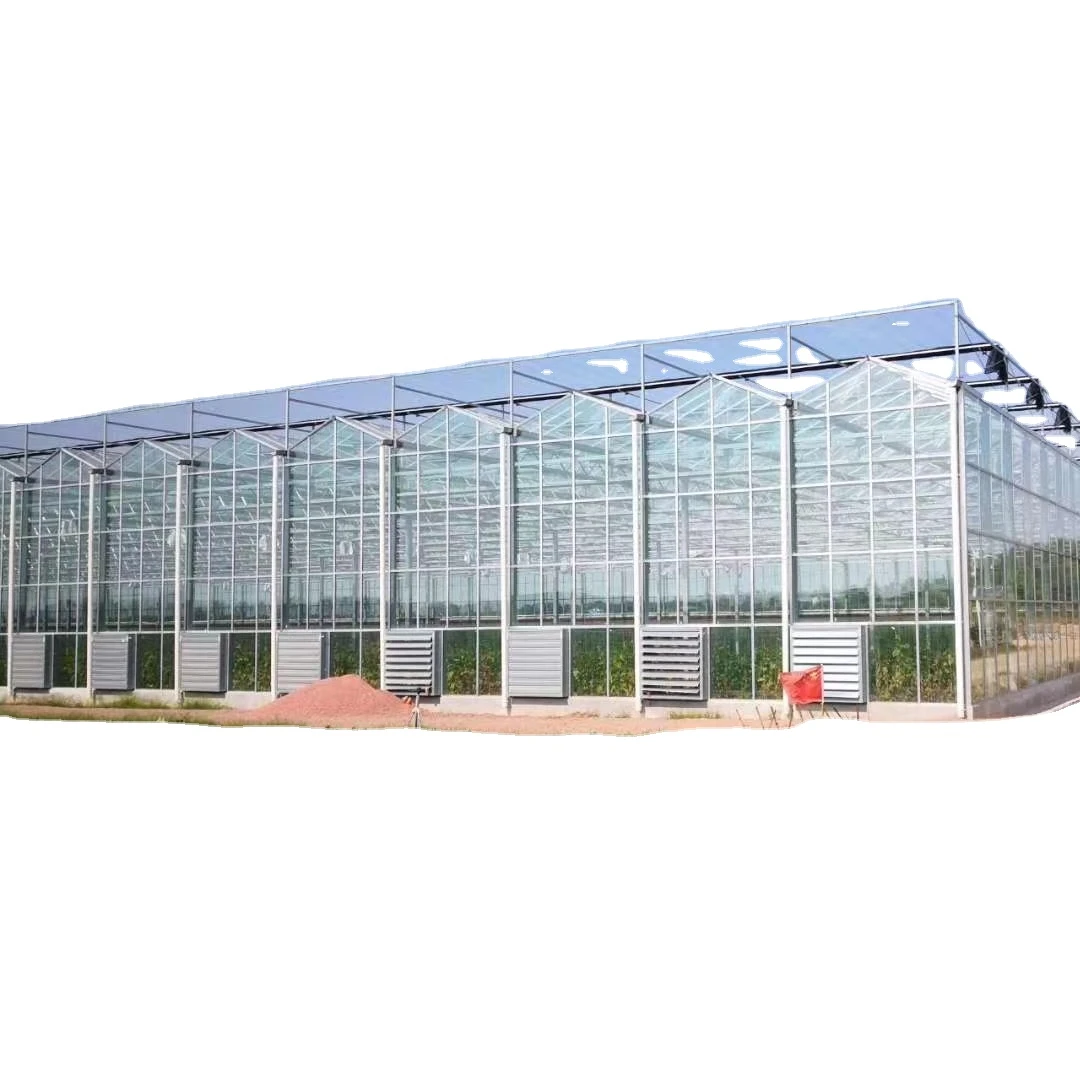 
twin wall polycarbonate greenhouse sheet polycarbonate roofing price 