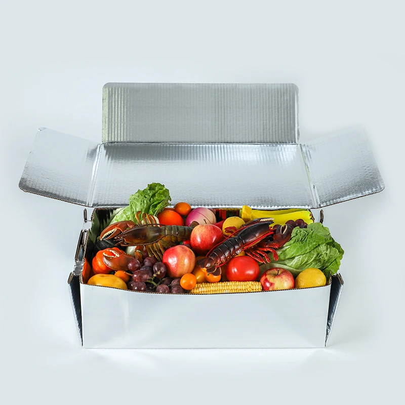 Insulated Food Shipping Aluminum Foil Box for Cold Industrial Chain Ice Cream Cold Box Maintain temperature for 3 days