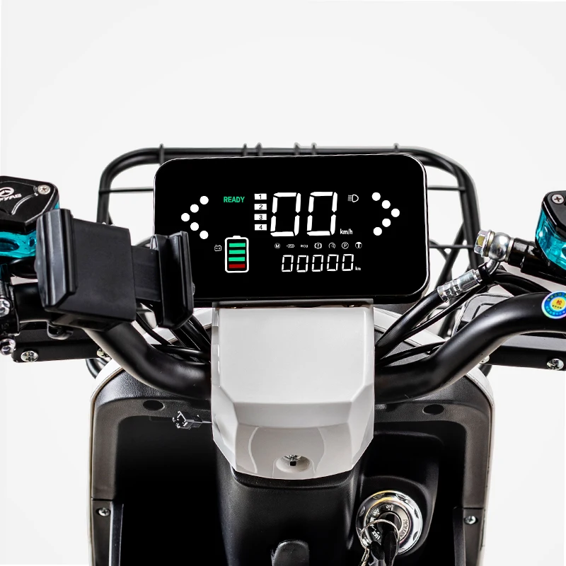 Customized Delivery Food Pizza  Electronic Bicycle with removable battery