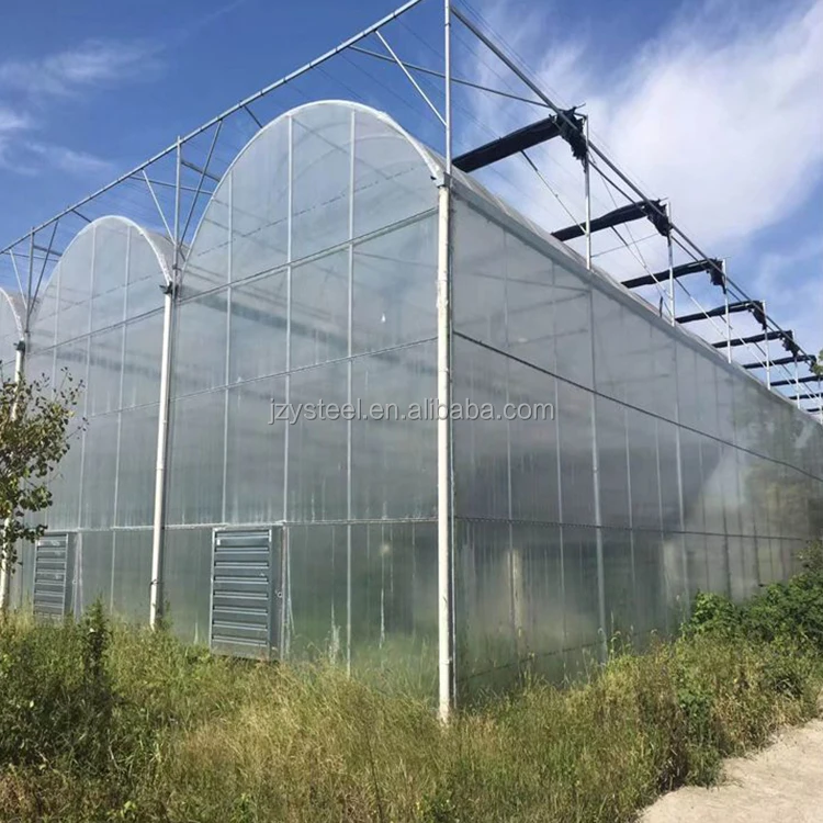 China supplier cheap price tunnel greenhouse