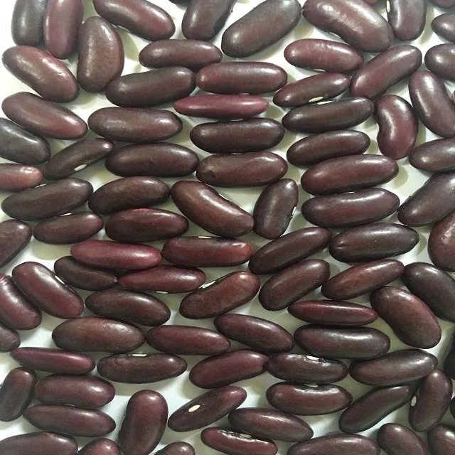 
HOT SELLING RED KIDNEY BEANS 