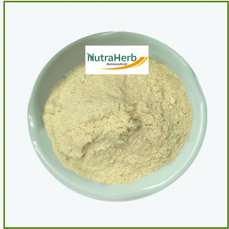 Top Level Soya Lecithin 98% Soybean Lecithin Powder PC 50% 60% 90% Phosphatidylcholine PC