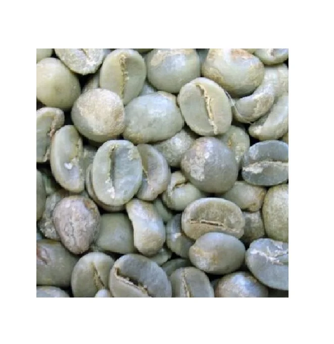 
AFRICAN ETHIOPIAN ARABICA 6 MM bulk green coffee beans for sale 