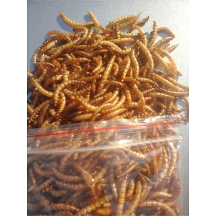 natural material popular bird food dried mealworms protein powder